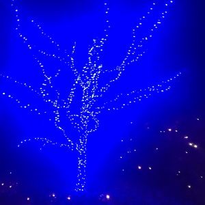 Meet your Posher, Kristy